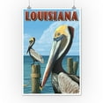 thumbnail image 2 of Louisiana, Brown Pelicans (12x18 Wall Art Poster, Room Decor), 2 of 3