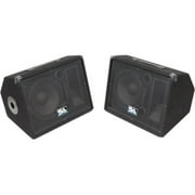 Seismic Audio SA-10M.2 2-way Indoor Floor Standing Speaker, 100 W RMS, Black
