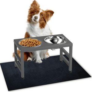 SHAINFUN Elevated Dog Feeder with 2 Stainless Steel Bowls, 10 in
