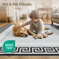 thumbnail image 4 of ODIKA 8'x10' Washable Area Rug Durable, Non-Slip Greek Key Border Interlocking Meander Motif Symmetry Mythology for Living Room, Under Sectional, Family, 4 of 7