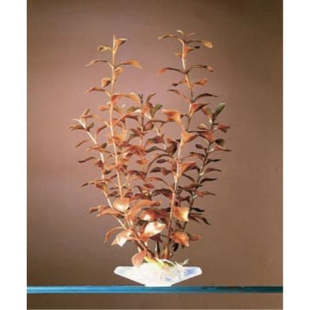 8 1/2 Inchs Blooming Ludwigia Red by Penn Plax Inc