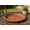 Red, variant on XiYing Deep Thickened Plastic Saucers for Plants Pots | 5-Pack Round Flower Pot Trays | Water Drip Catcher for Indoor Outdoor Gardening | Multiple Sizes Available for Potted Plants,S