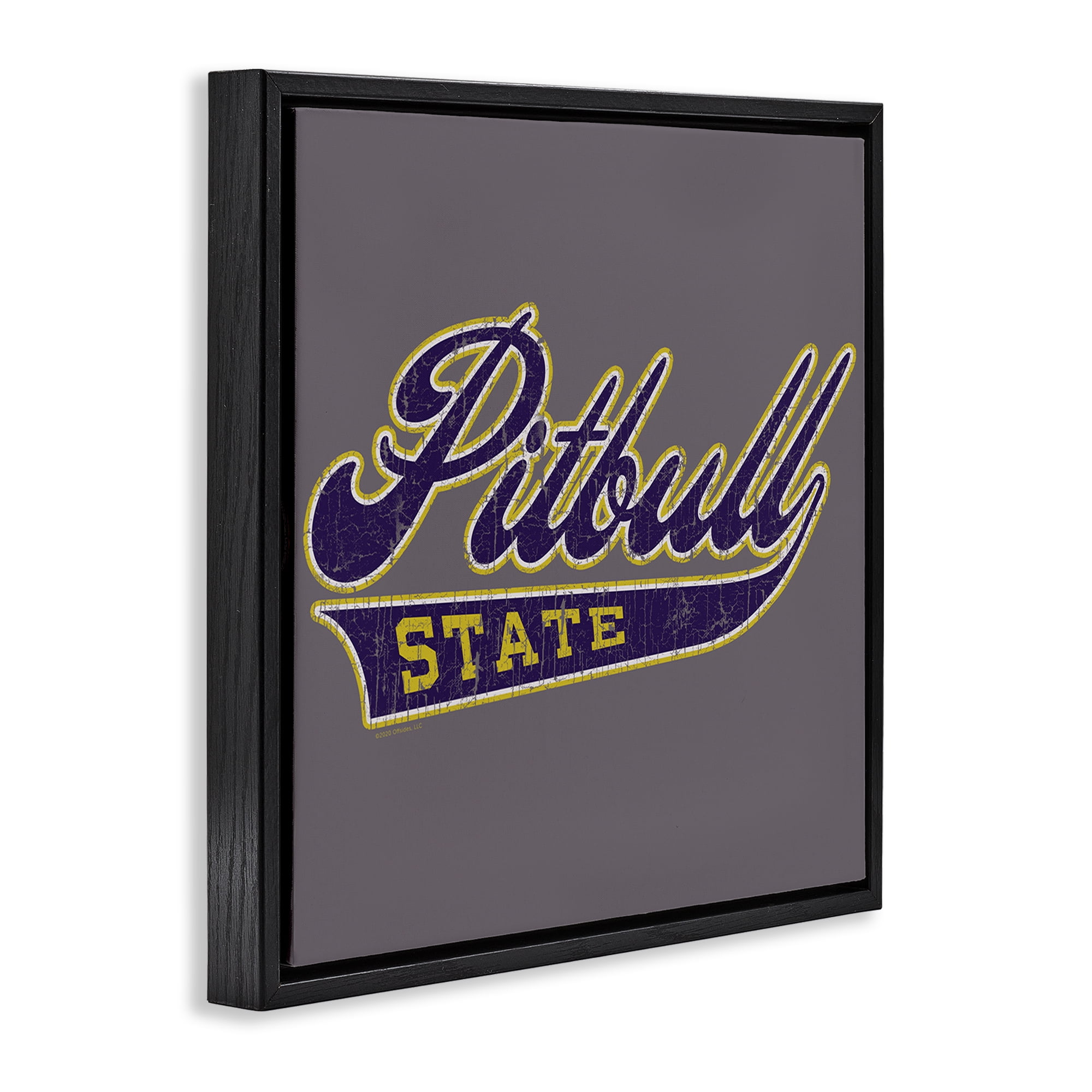 Stupell Industries Varsity Style Pitbull State Novelty & Humor Painting Black Floater Framed Canvas Art Print Wall Art, 18 x 18