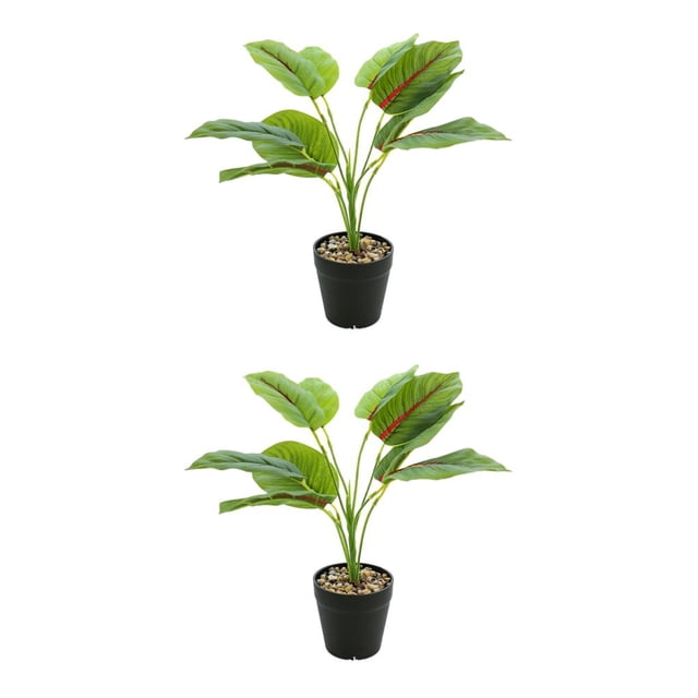 Bearachild Plantas artificiales realistas, flores falsas en maceta de tortuga para decoración de hogar, oficina y jardín, bajo JH5472 JH5472 2Conjunto