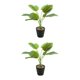 thumbnail image 1 of Planta en maceta Ounissouiy Hojas artificiales realistas JH5472 2Conjunto, 1 of 6