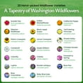thumbnail image 6 of Washington Wildflower Seed Mix, 20 Flower Varieties, 60,000+ Seeds - Created By Nature, 6 of 6