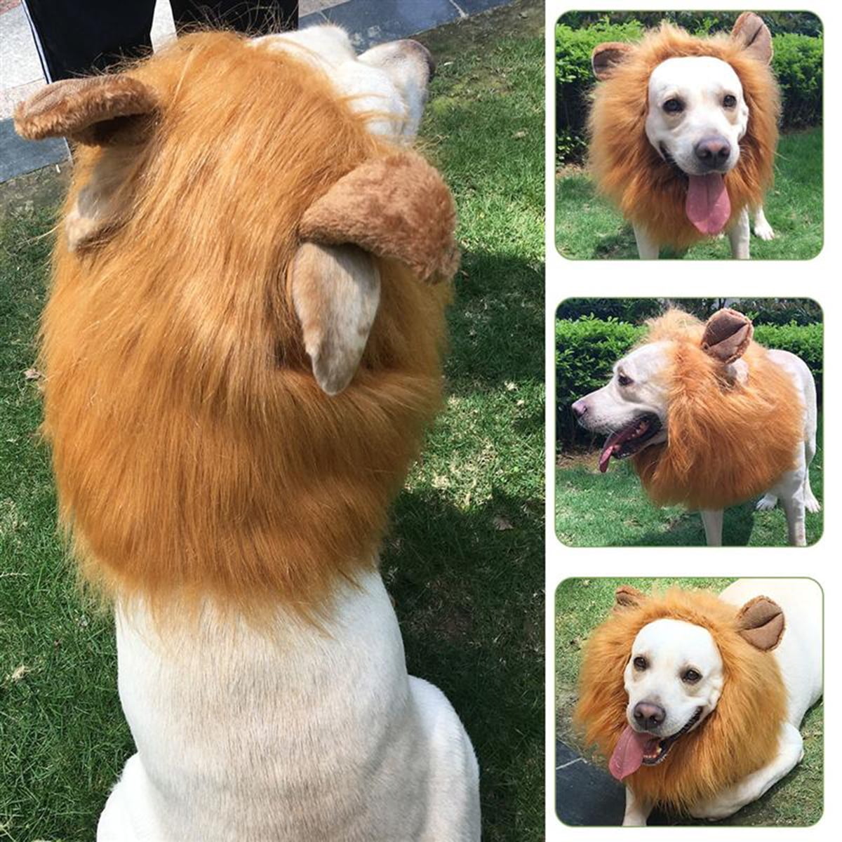 Dog Lion Mane, Realistic Fancy Lion Hair Dog Wigs for Holiday Photo Shoots  Party | Walmart Canada