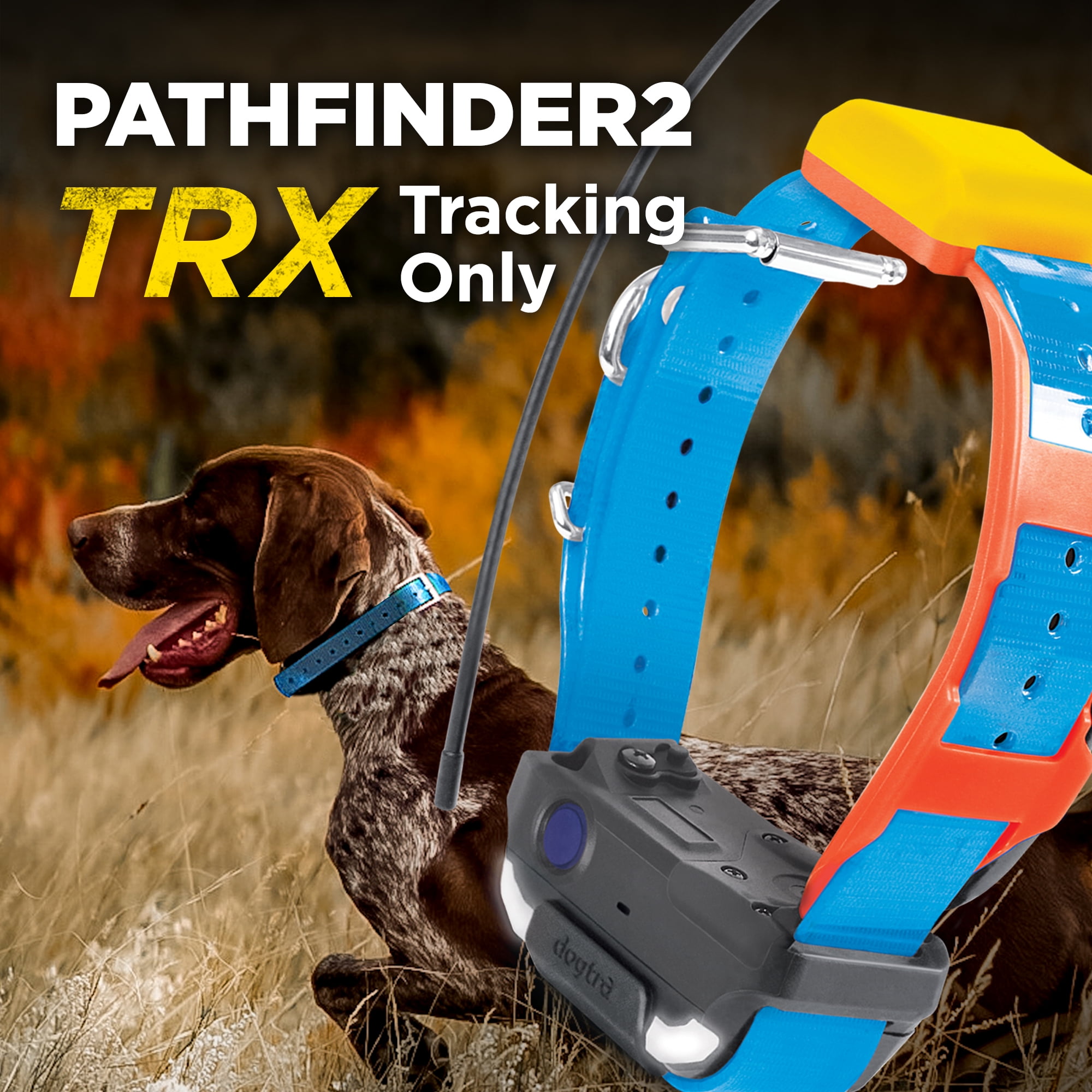 Dogtra Pathfinder 2 TRX Additional Receiver Blue Dog GPS Tracker LED Light Blue Collar SmartWatch Compatible Rechargeable Waterproof Free Maps No Subscription No Monthly Fee Smartphone Required
