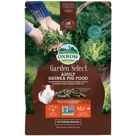 Oxbow Garden Select Natural Science Adult Guinea Pig Food, 4 (The Best Guinea Pig Food)