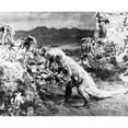 thumbnail image 2 of The Lost World Still (20 x 16), 2 of 2