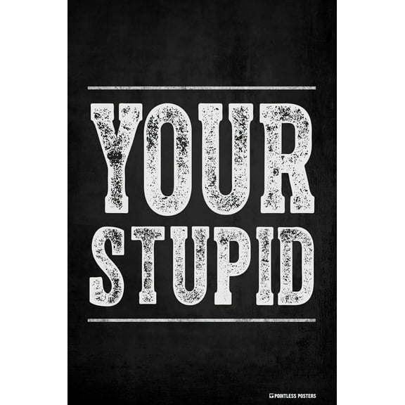 Your Stupid Demotivational Poster Print