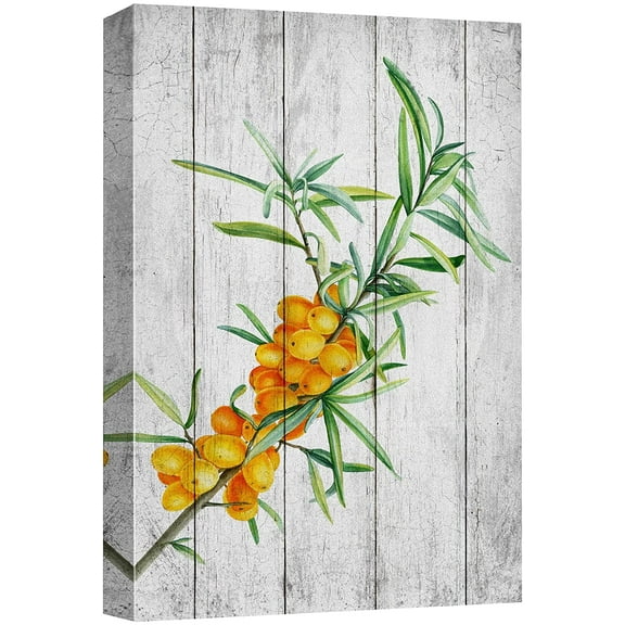 wall26 Canvas Print Wall Art Retro Vintage Wood Panel Gooseberry Fruit Cooking Realism Digital Art Modern Art Decorative Bohemian Chic Kitchen/Food Rustic for Living Room, Bedroom, Office - 12"x