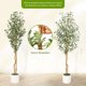 thumbnail image 4 of Qinaqin 5FT/6FT/7FT Fake Oliva Tree con Realistic Fau x Silk Leaves Blanco Planter Pot Natural Madera Trunk, 4 of 5
