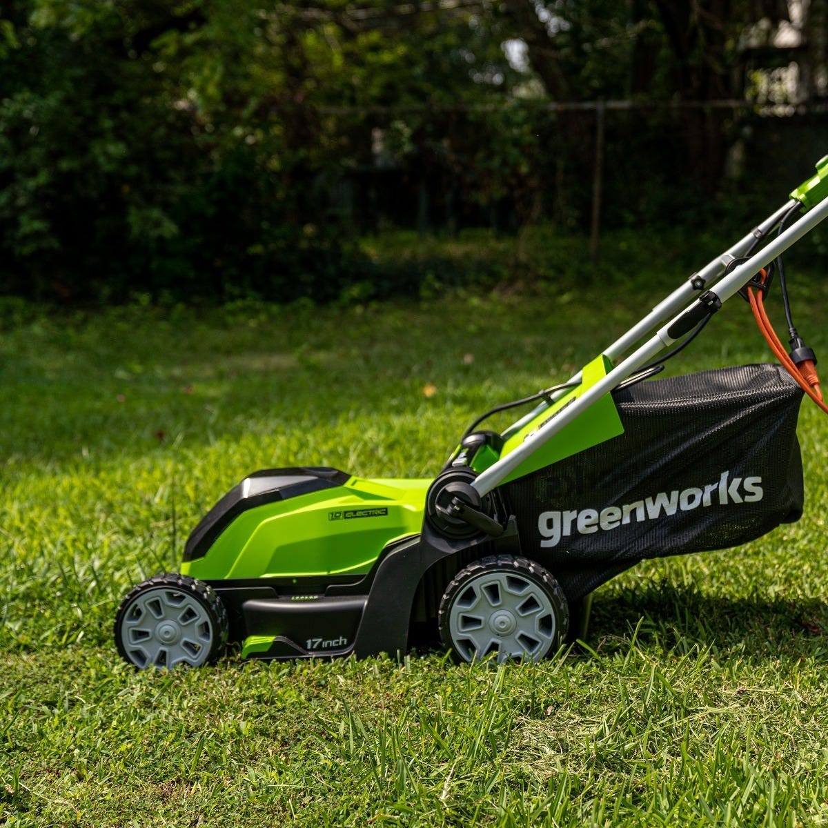 Greenworks 17