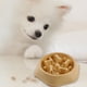 thumbnail image 4 of Plato para comer lentamente para mascotas Gato Perro Anti asfixia Cachorro Alimentador Tazón de comida (Amarillo) JShteea Libre de BPA, 4 of 6