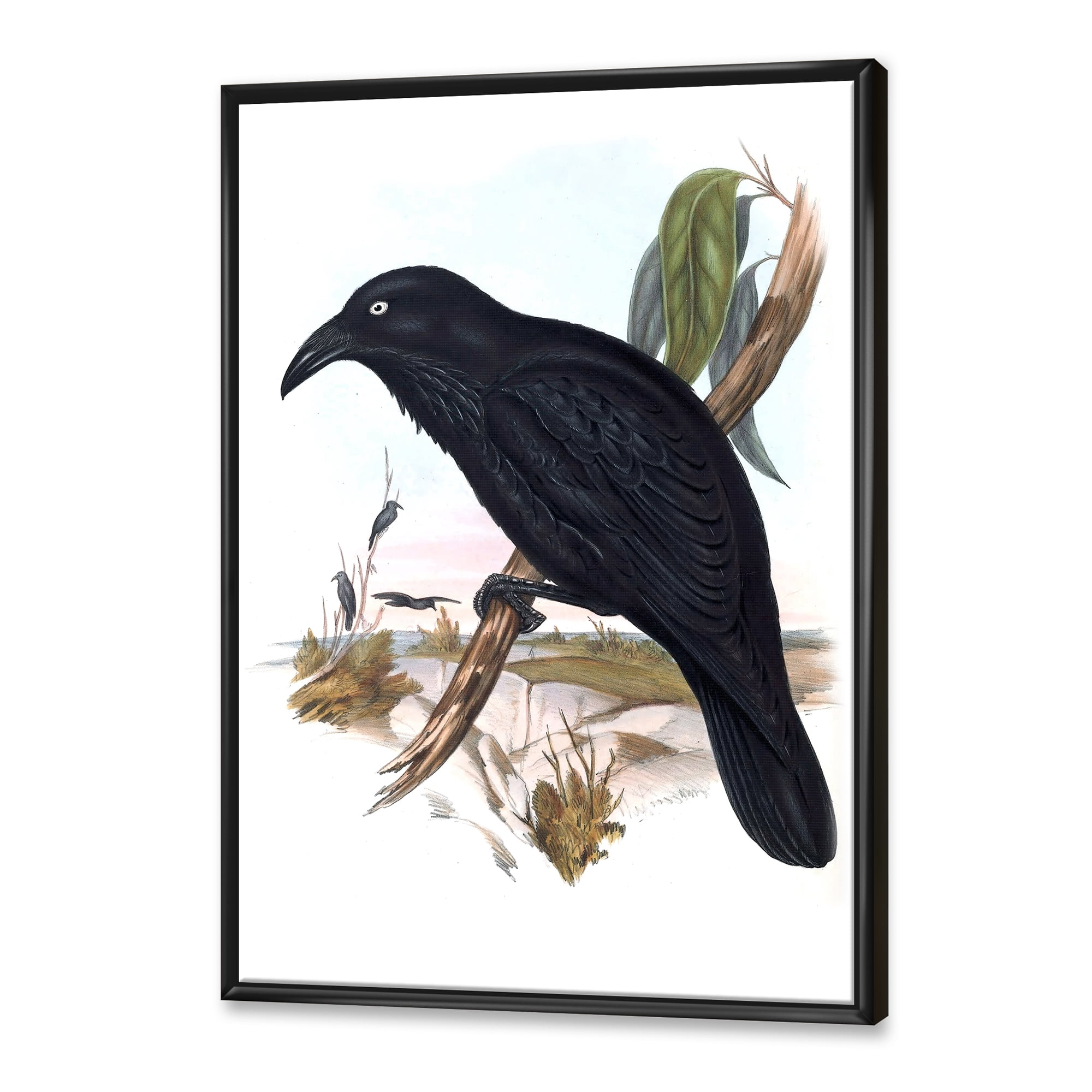 Ancient Australian Birds VI 30 in x 40 in Framed Painting Canvas Art Print, by Designart
