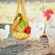 thumbnail image 4 of Bolsa de verduras para pollo, soporte para bocadillos con ganchos, brochetas para ensalada para gallina de ganso grande amarillo, 4 of 8