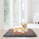 thumbnail image 5 of Tapete Engrosado Universal Lavable Y Extraíble para Gatos Y (L), 5 of 9