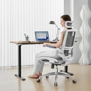 Sihoo M59AS Ergonomic Office Chair with Mesh Backrest, Flip Armrests, Headrest, White