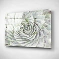 thumbnail image 2 of Epic Art 'Succulent Macro' by Stellar Design Studio, Acrylic Glass Wall Art, 24"x16", 2 of 3