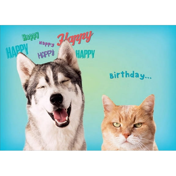 RSVP Happy Huskie and Grumpy Cat Funny / Humorous Dog and Cat Birthday Card