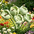 thumbnail image 5 of Tulip Shape Bird Bath Decorative Outdoor Garden Pollinator Water Station, Floral Bird Drinking Basin for Backyard Patio Balcony, 5 of 6