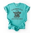 thumbnail image 4 of It Is What It Is and It Is Not Great Shirt for Women & Teens Funny Raccoon Tee Seafoam Shirt Adult Large, 4 of 5