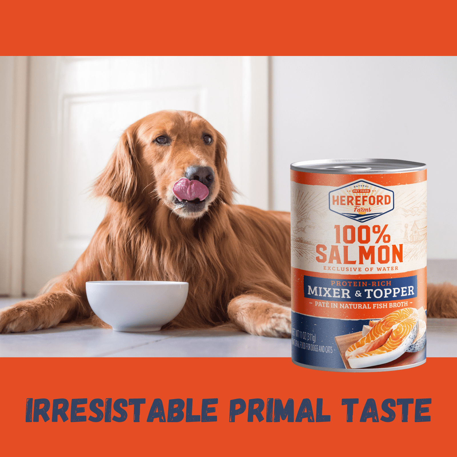 Hereford Farms 100% Salmon Wet Dog and Cat Food exclusive of water, Protein-rich Mixer and Topper, 12 Pack