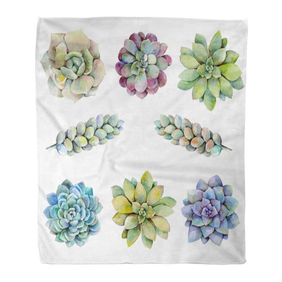 SIDONKU Throw Blanket Warm Cozy Print Flannel Purple Cactus Watercolor Succulents Raster Blue Flower Comfortable Soft for Bed Sofa and Couch 50x60 Inches