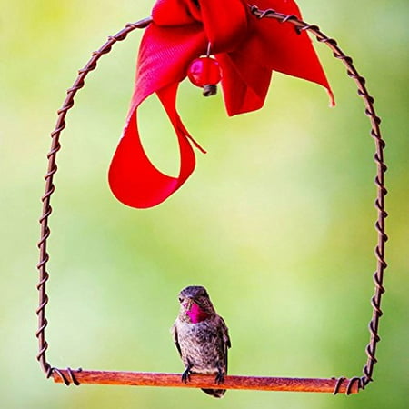 Best Copper Hummingbirds Swing - Perfect for Nectar Feeder, Hanger, &