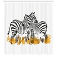 thumbnail image 3 of Ambesonne Safari Shower Curtain, Zebras Out in the Nature, 69"Wx75"L, Dark Grey White and Apricot, 3 of 3