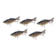 thumbnail image 1 of 5 señuelos de pesca Swimbaits realistas de superficie, duros y crankbaits para bagres, crappies, salmones, lubinas y luciopercas., 1 of 9