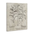 thumbnail image 3 of Stupell Industries Victorian Vintage Botanical Herb Canvas Art, 36 x 48, by Lettered and Lined, 3 of 8