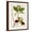 Brown Frame, variant on Art.com Antique Greenery II Art Print, 12" x 16"