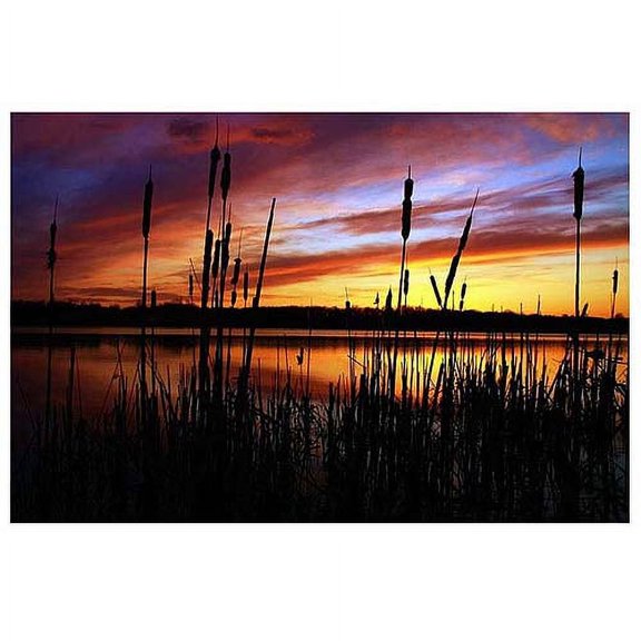 Trademark Art "Principles" Canvas Art by CATeyes