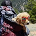 thumbnail image 3 of Pet Sunglass with Strap, Dog UV Glasses with Chin Strap Adjustable, Anti-Fog & Windproof Pet Goggles Sun Glasses Eye Glasses for Small Medium Large Dogs Puppies Cats Car Rides Eye Protection, 3 of 8