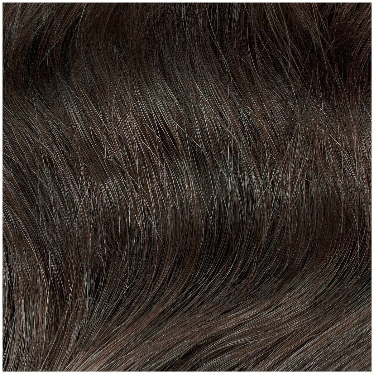 Clairol Professional Liquicolor Permanentre Dark Netural Blonde 6N / 86N, 2 Oz, 6 Pack
