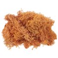 thumbnail image 1 of Unique Bargains Mousse Préservée 3.5 OZ Mousse Artificielle pour Projet Floral Décoration de Table Orange, 1 of 7