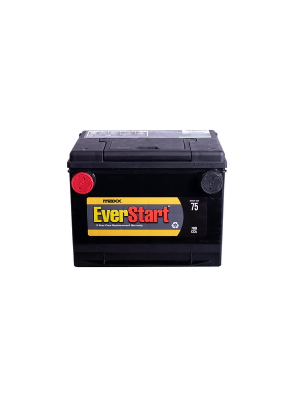 EverStart Plus Batteries in EverStart Batteries
