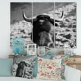 thumbnail image 2 of Designart ' Black and White Portrait Of A Spanish Bull II ' Farmhouse Canvas Wall Art Print, 2 of 3