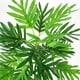 thumbnail image 4 of Planta artificial de 3 ramas, Asplenium septentrionale verde, decoración floral de hojas, 4 of 8