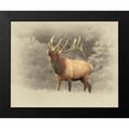 thumbnail image 2 of Brown, Jim 18x15 Black Modern Framed Museum Art Print Titled - Bull Elk II, 2 of 5
