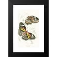 thumbnail image 2 of James Duncan 16x24 Black Modern Framed Museum Art Print Titled - Cethosia Cyane (1858), 2 of 5