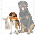 thumbnail image 5 of DuraForce Jr Bone Tiger Orange-Yellow, 2-Pack, Durable Woven Mesh Fiber Squeaky Dog Toy, 5 of 10