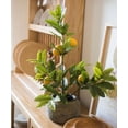 thumbnail image 4 of Artificial Lemon Tree, 4 of 12