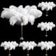 thumbnail image 1 of Plumas de Avestruz Berlune 150 Piezas 30-35 cm Blanco, 1 of 6