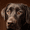Labrador, variant on Vintage Girls Campfire Canvas Print, Wall Decor for Living Room Bedroom Dining Room Study Office Home Interior
