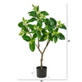 thumbnail image 2 of Nearly Natural 4' Grapefruit Flower Artificial Tree, 2 of 4