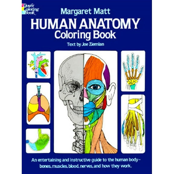 Pre-Owned Human Anatomy Coloring Book (Paperback) 0486241386 9780486241388