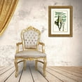 thumbnail image 3 of Curtis  17x24 Gold Ornate Wood Framed with Double Matting Museum Art Print Titled - Tropical Plants IV, 3 of 4